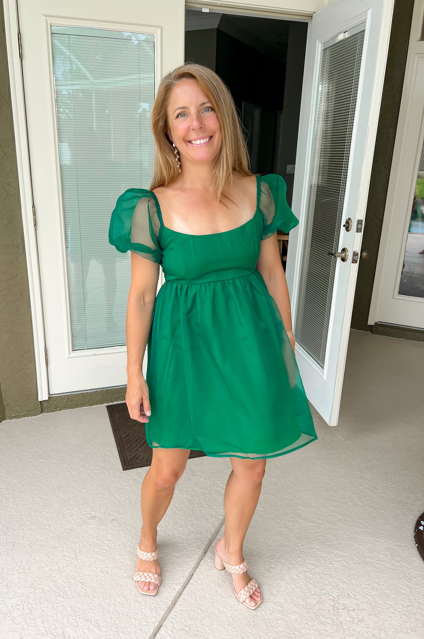 Puff Sleeve Organza Dress