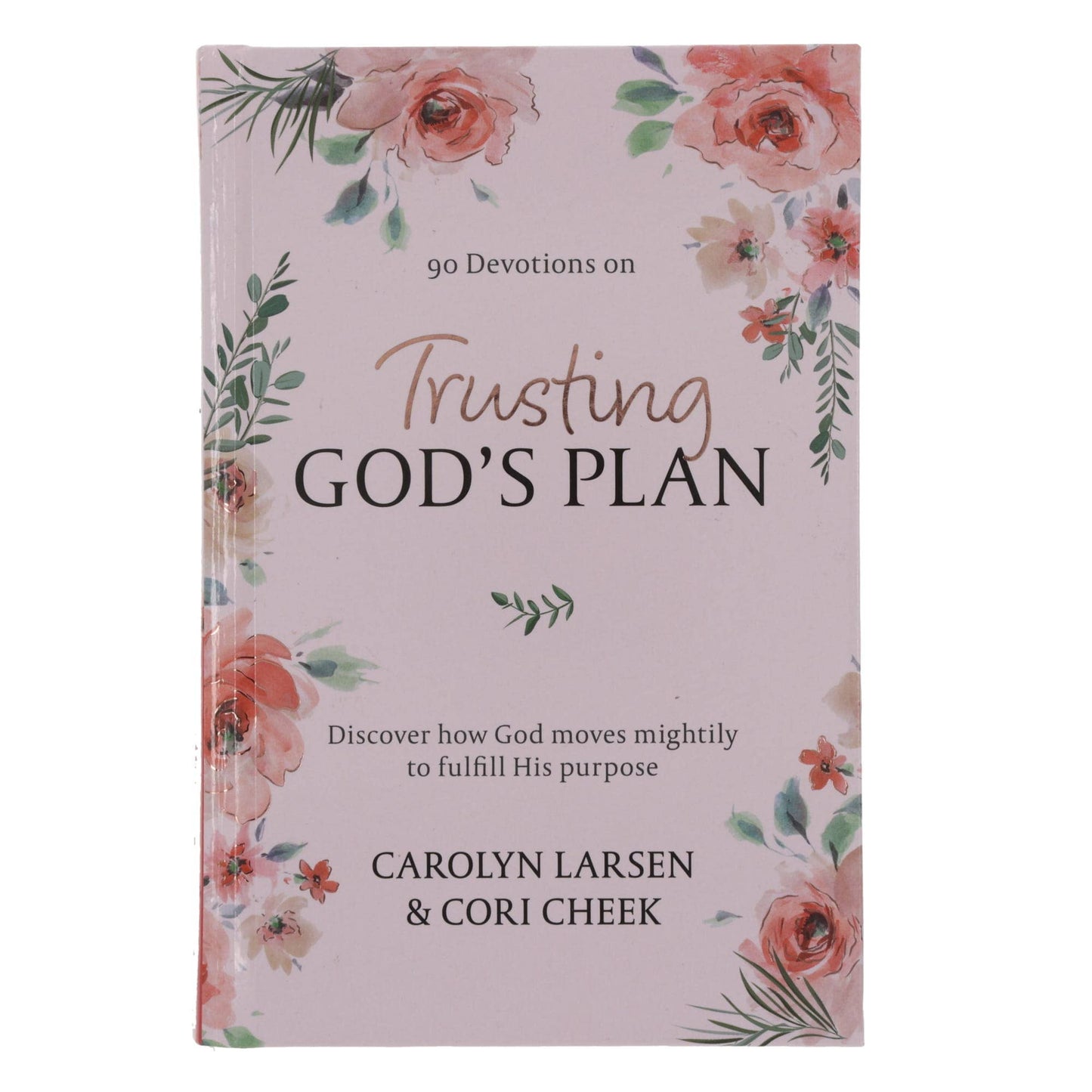 Devotional Trusting God's Plan- The Gathering Cafe